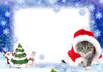 Efecto de fotos de la categoría Postales de Año Nuevo № 17139 Efecto de fotos de la categoría Postales de Año Nuevo № 17139