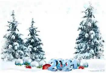 Inscripción en el marco: 2026 Inscripción en el marco: 2026