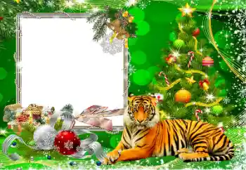 Efecto de fotos de la categoría Postales de Año Nuevo № 194162 Efecto de fotos de la categoría Postales de Año Nuevo № 194162