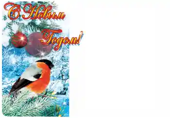 Inscripción en el marco: Feliz Año Nuevo!