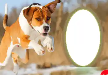 Inscripción en el marco: Feliz Año Nuevo!