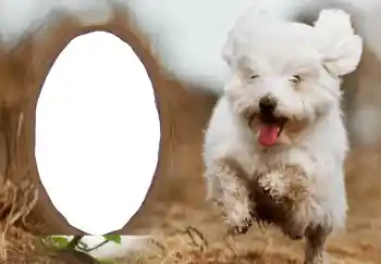 Inscripción en el marco: Feliz Año Nuevo!