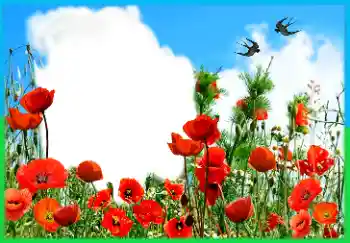 Inscripción en el marco: Victory in Europe Day Inscripción en el marco: Victory in Europe Day