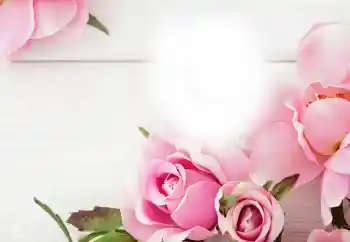 Efecto de fotos de la categoría Otras fiestas № 115983 Efecto de fotos de la categoría Otras fiestas № 115983