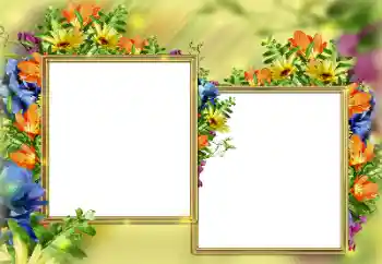 Inscripción en el marco: ¡Felicidades! Inscripción en el marco: ¡Felicidades!