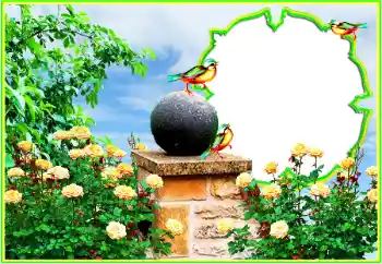 Inscripción en el marco: ¡Felicidades! Inscripción en el marco: ¡Felicidades!