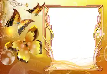 Inscripción en el marco: ¡Felicidades! Inscripción en el marco: ¡Felicidades!