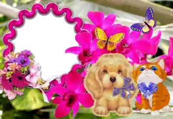 Inscripción en el marco: ¡Felicidades! Inscripción en el marco: ¡Felicidades!