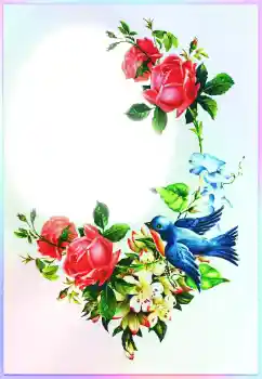 Inscripción en el marco: ¡Felicidades! Inscripción en el marco: ¡Felicidades!