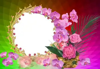 Efecto de fotos de la categoría Otras fiestas № 121122 Efecto de fotos de la categoría Otras fiestas № 121122