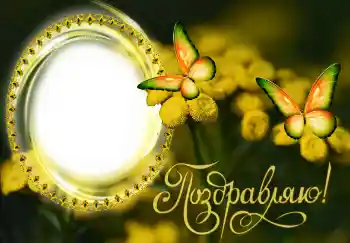 Inscripción en el marco: ¡Felicidades! Inscripción en el marco: ¡Felicidades!