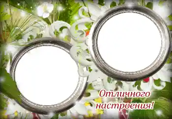 Inscripción en el marco: Excellent mood! Inscripción en el marco: Excellent mood!