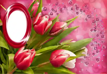 Efecto de fotos de la categoría Otras fiestas № 150549 Efecto de fotos de la categoría Otras fiestas № 150549