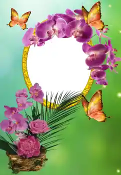 Efecto de fotos de la categoría Otras fiestas № 150615 Efecto de fotos de la categoría Otras fiestas № 150615