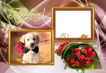 Inscripción en el marco: ¡Felicidades! Inscripción en el marco: ¡Felicidades!