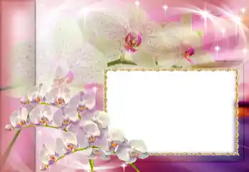 Efecto de fotos de la categoría Otras fiestas № 153160 Efecto de fotos de la categoría Otras fiestas № 153160