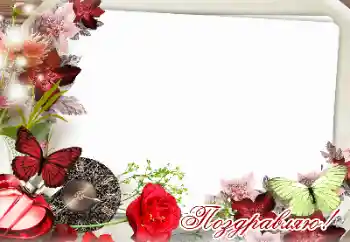 Inscripción en el marco: ¡Felicidades!