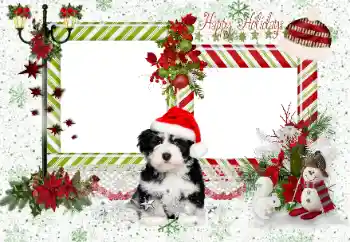 Inscripción en el marco: Happy Holidays Inscripción en el marco: Happy Holidays