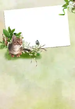 Efecto de fotos de la categoría Otras fiestas № 167762 Efecto de fotos de la categoría Otras fiestas № 167762