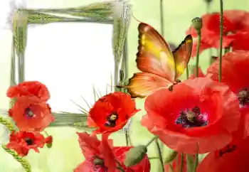 Inscripción en el marco: Victory in Europe Day Inscripción en el marco: Victory in Europe Day