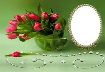 Efecto de fotos de la categoría Otras fiestas № 169026 Efecto de fotos de la categoría Otras fiestas № 169026