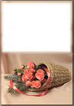 Efecto de fotos de la categoría Otras fiestas № 171774 Efecto de fotos de la categoría Otras fiestas № 171774