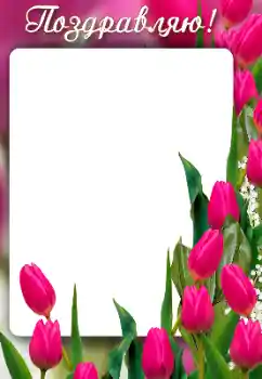 Inscripción en el marco: ¡Felicidades! Inscripción en el marco: ¡Felicidades!