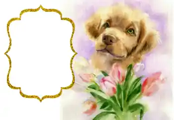 Efecto de fotos de la categoría Otras fiestas № 190529