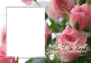 Inscripción en el marco: ¡Feliz Dia de la Madre! Inscripción en el marco: ¡Feliz Dia de la Madre!