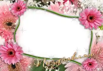 Inscripción en el marco: ¡Felicidades! Inscripción en el marco: ¡Felicidades!