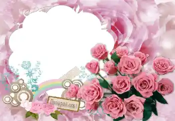 Inscripción en el marco: ¡Felicidades! Inscripción en el marco: ¡Felicidades!