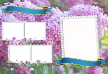 Efecto de fotos de la categoría Otros Escolares № 205350