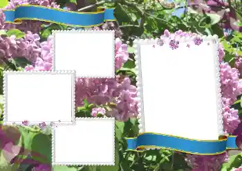 Efecto de fotos de la categoría Otros Escolares № 205360