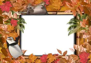 Efecto de fotos de la categoría Otros Escolares № 4736 Efecto de fotos de la categoría Otros Escolares № 4736