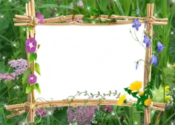 Efecto de fotos de la categoría Verano № 1001