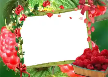 Efecto de fotos de la categoría Verano № 1003