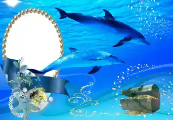 Efecto de fotos de la categoría Verano № 101226