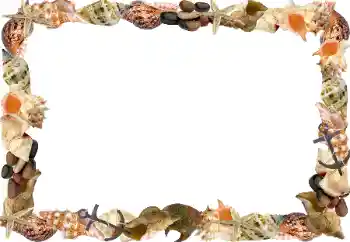 Efecto de fotos de la categoría Verano № 102596