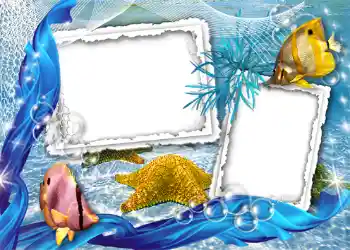 Efecto de fotos de la categoría Verano № 1105