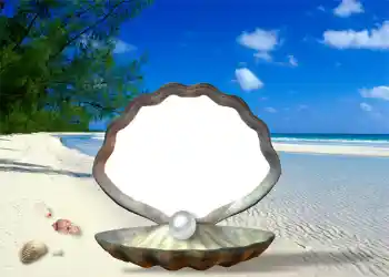 Efecto de fotos de la categoría Verano № 1111