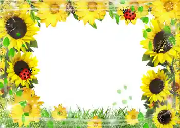 Efecto de fotos de la categoría Verano № 1113