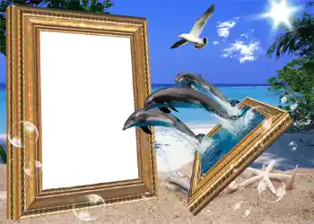 Efecto de fotos de la categoría Verano № 1116