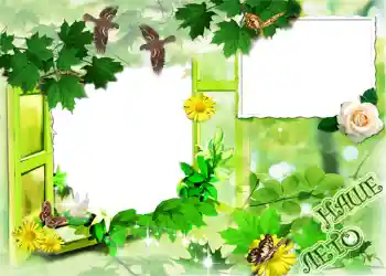 Efecto de fotos de la categoría Verano № 1120