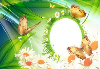 Efecto de fotos de la categoría Verano № 112110