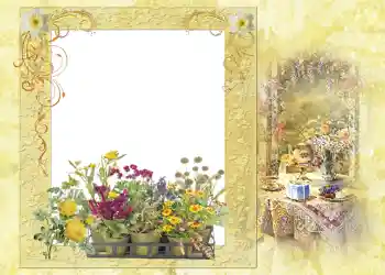 Efecto de fotos de la categoría Verano № 1121