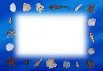 Efecto de fotos de la categoría Verano № 113121