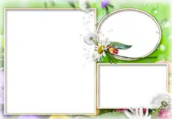 Efecto de fotos de la categoría Verano № 114273