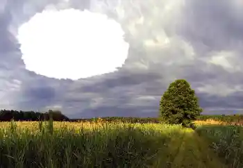 Efecto de fotos de la categoría Verano № 114385