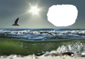 Efecto de fotos de la categoría Verano № 114429