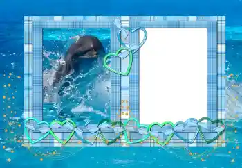 Efecto de fotos de la categoría Verano № 114439